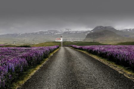 route et église dans paysage