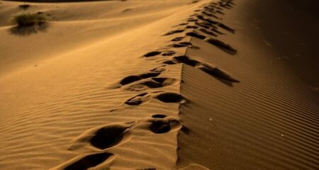 pexels-francesco-ungaro-998633(3)