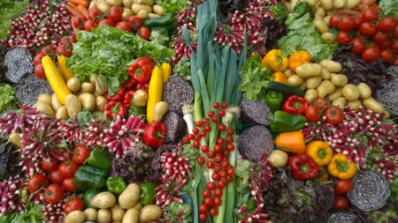chantal-garnier-légumes