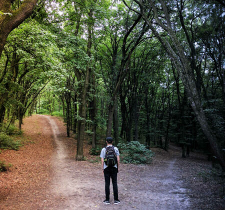 chemins homme seul forêt
