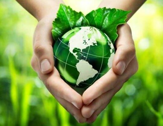 Laudato Si' : entretenir la flamme