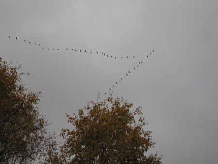 Img 1919