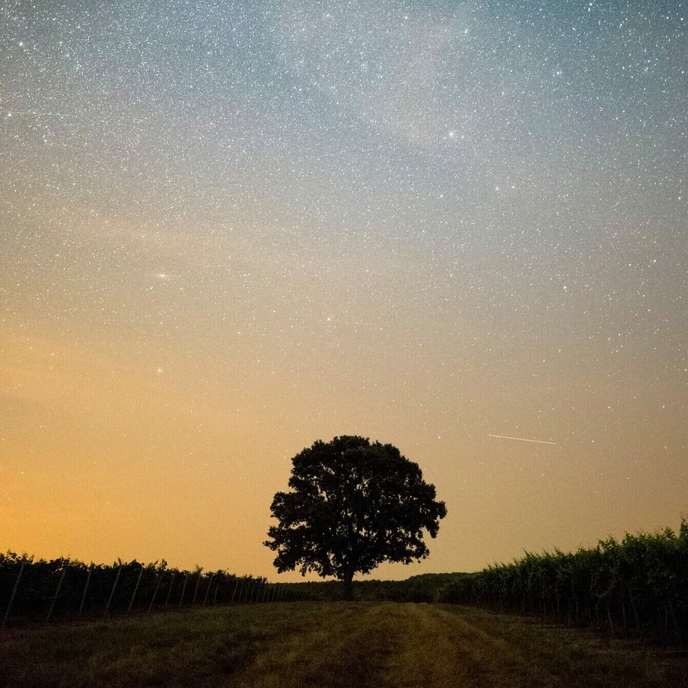 Photo De Daniel Olah Sur Unsplash