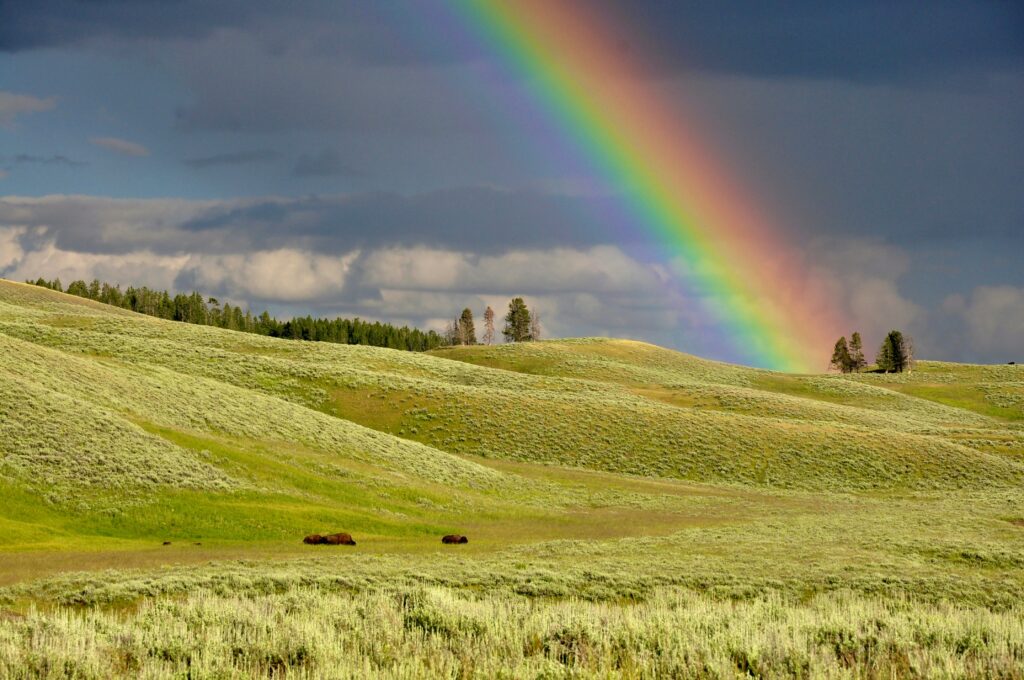 Photo De Todd Cravens Sur Unsplash