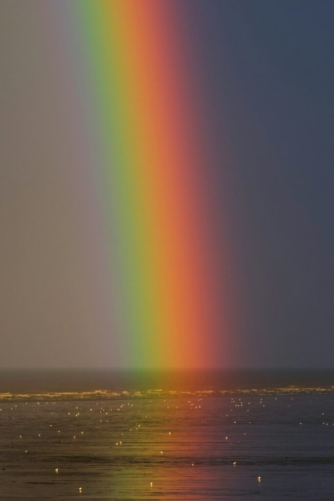 Photo De Zoltan Tasi Sur Unsplash