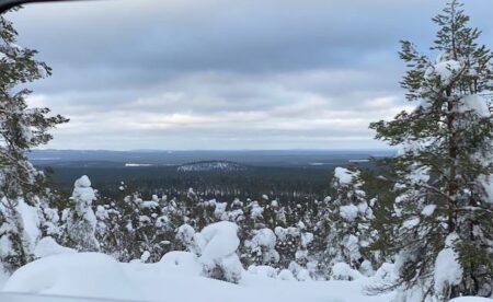Img 5331 85 50m