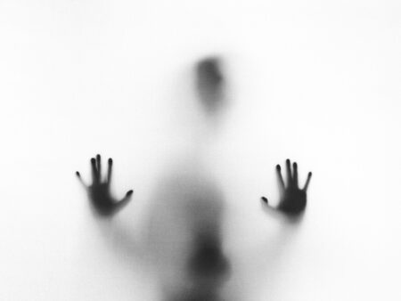 Photo Stefano Pollio Unsplash
