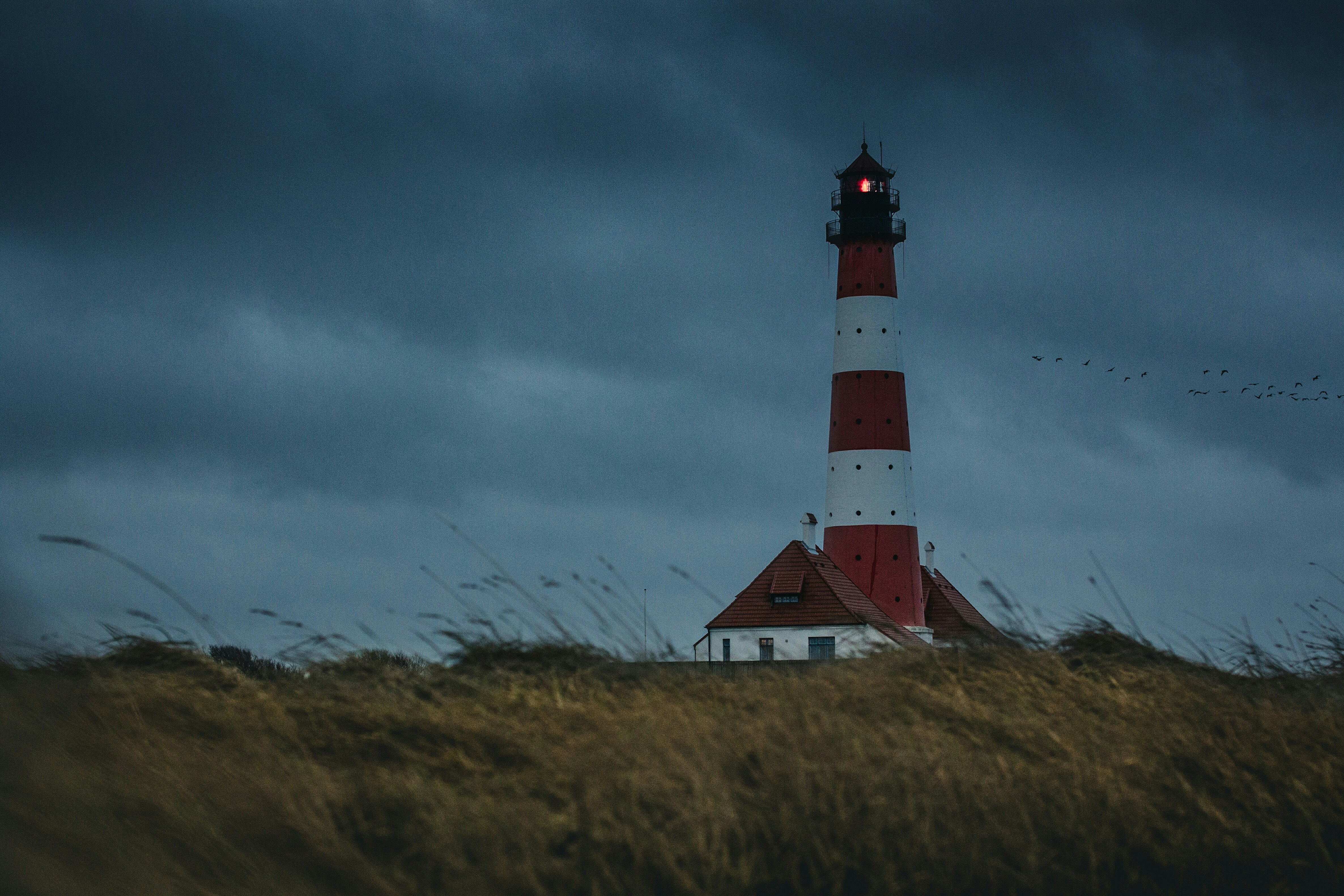 Thomas Grams Qpltxc8rmc0 Unsplash