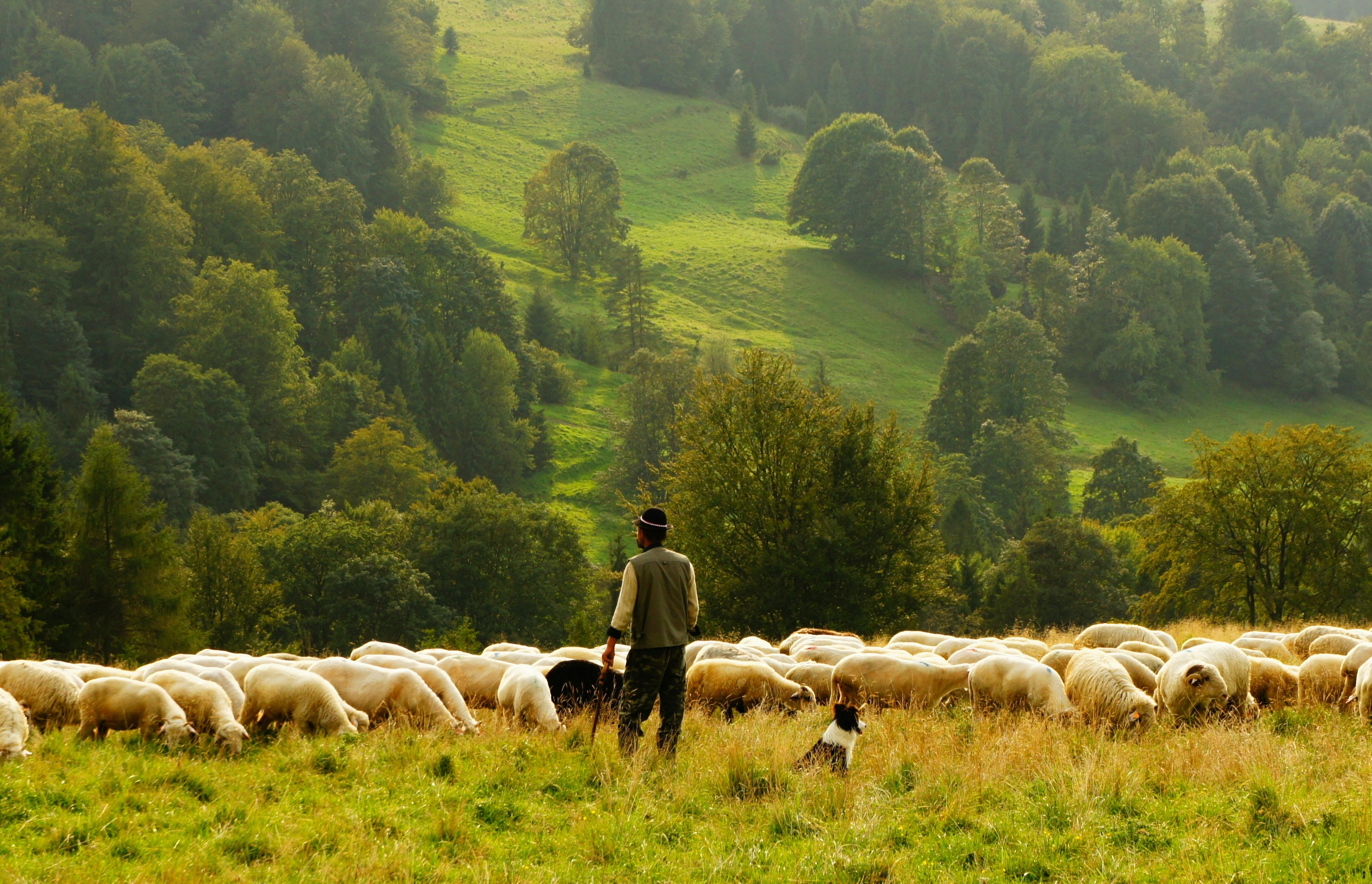 Photo Biegun Wschodni Unsplash