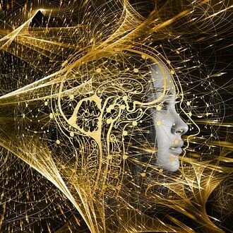 Image Par Gerd Altmann De Pixabay