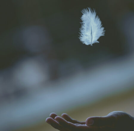 Javardh Unsplash1