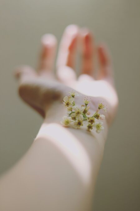 Photo Carolina Heza Sur Unsplash