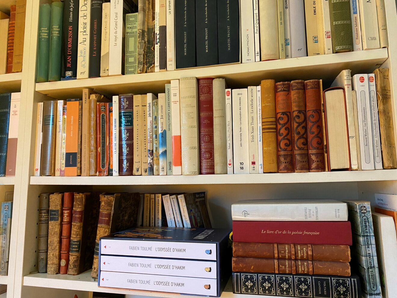 Louée soit la lecture par le pape François